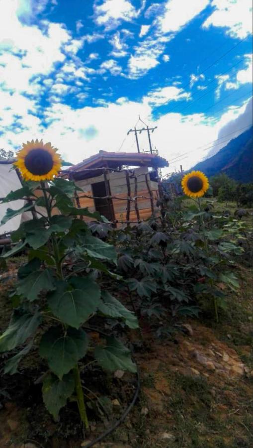 Hostal Las Valkirias Matanza Kültér fotó